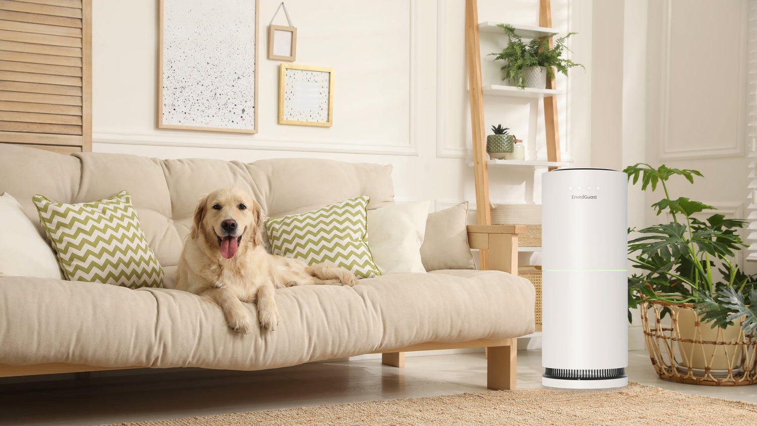 Air purifier for pet allergies in a living room with a dog